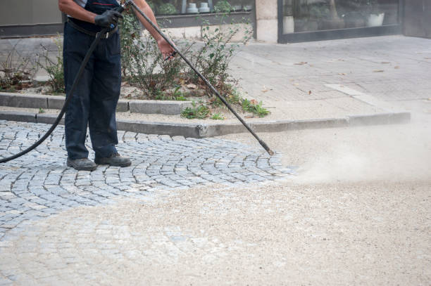 Best Gutter Cleaning and Brightening in Twin City, GA