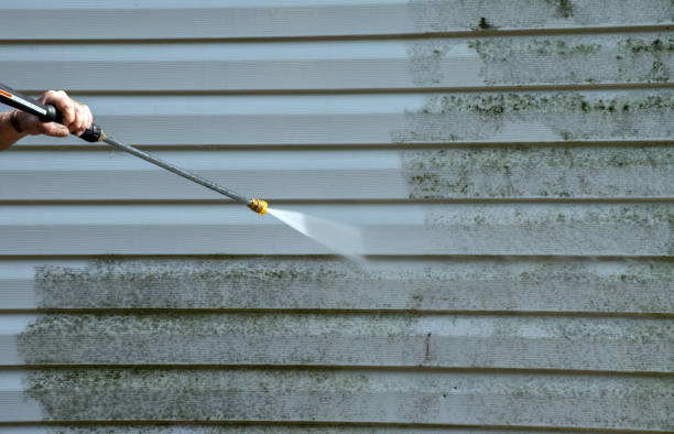 Best Fence Cleaning and Maintenance in Twin City, GA